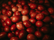 PRG-283.jpg28–19